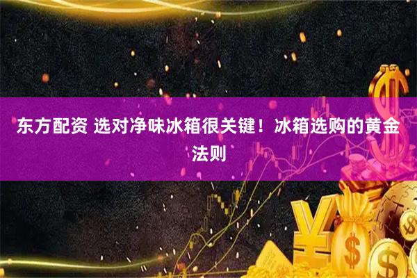 东方配资 选对净味冰箱很关键！冰箱选购的黄金法则