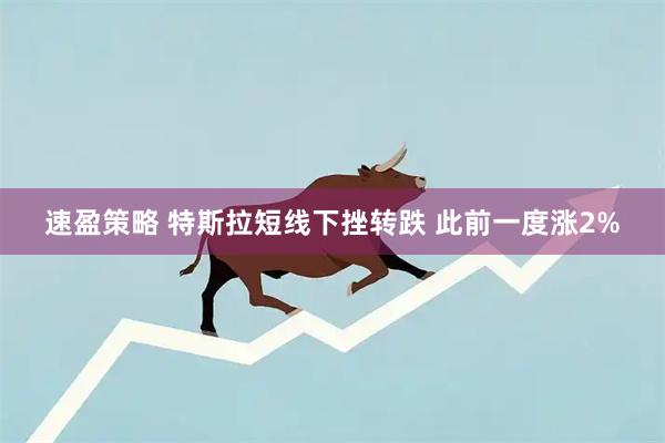 速盈策略 特斯拉短线下挫转跌 此前一度涨2%