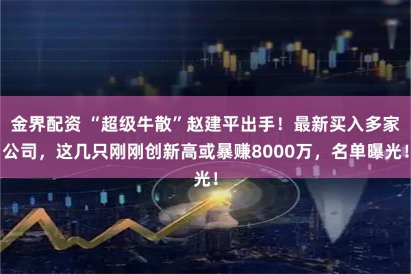 金界配资 “超级牛散”赵建平出手！最新买入多家公司，这几只刚刚创新高或暴赚8000万，名单曝光！