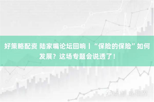 好策略配资 陆家嘴论坛回响丨“保险的保险”如何发展？这场专题会说透了！